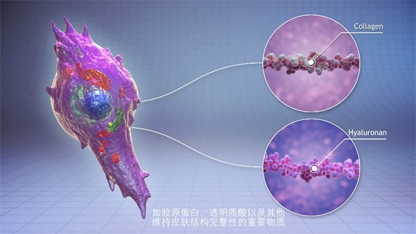 三維動畫制作45
